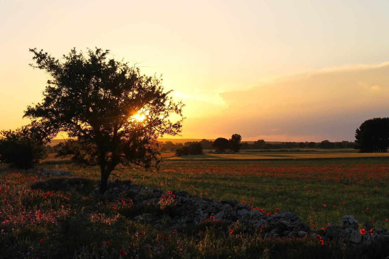 Una Volta A Martina Hotel Martina Franca Buitenkant foto